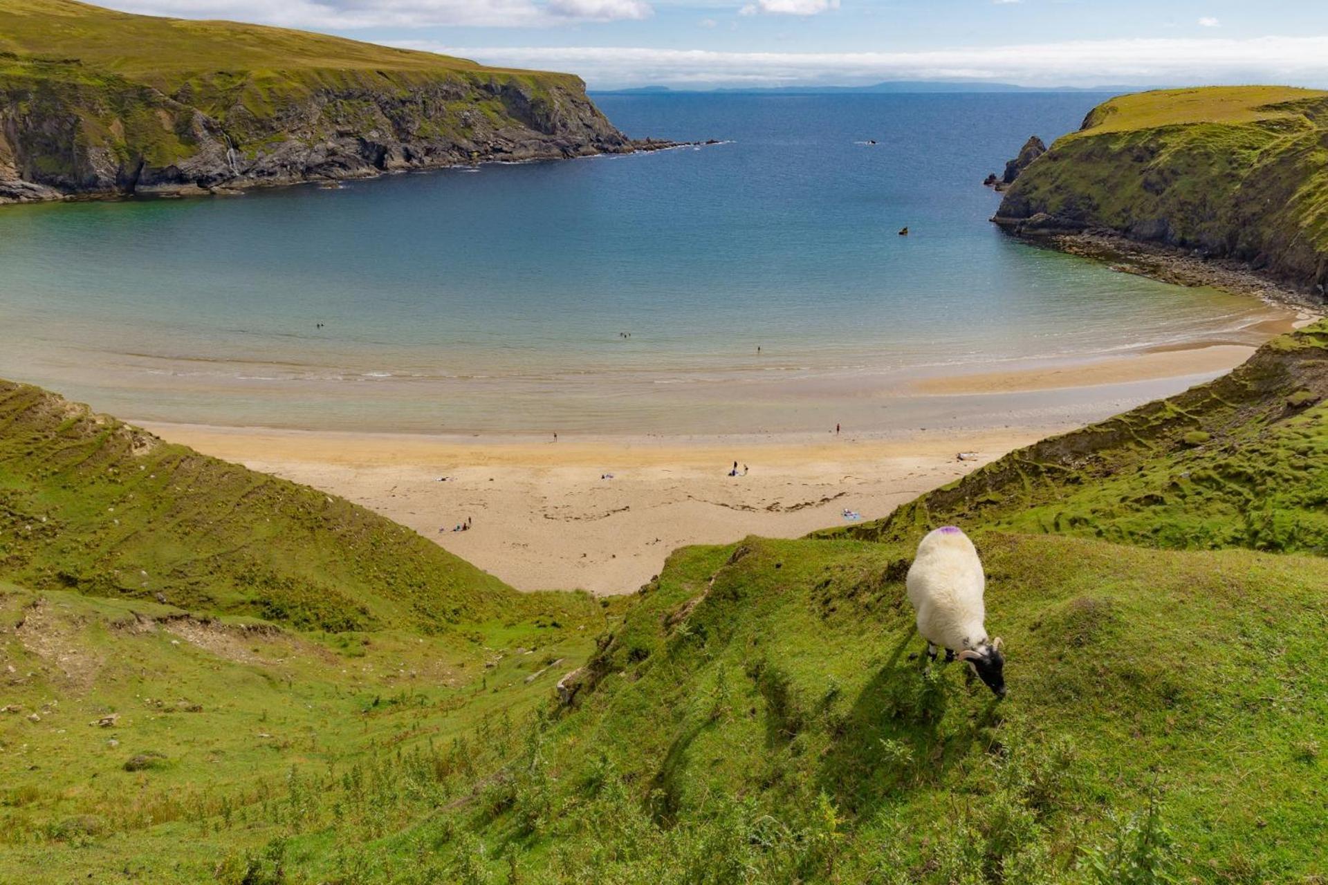 Hollies Hideaway Daire Donegal Town Dış mekan fotoğraf
